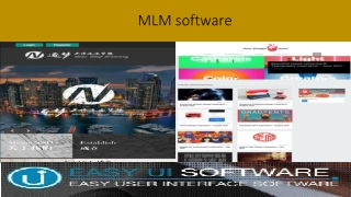 MLM software