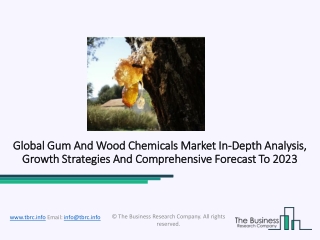 Gum And Wood Chemicals Market Size And Opportunities