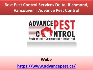 Ants control delta