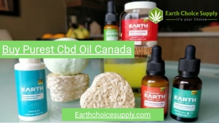 Buy Purest Cbd Oil Canada