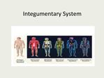 Integumentary System