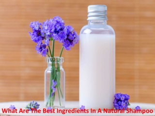 What Are The Best Ingredients In A Natural Shampoo