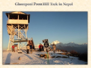 Ghorepani Poon Hill Trek in Nepal