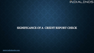 Significance of a Credit Report Check