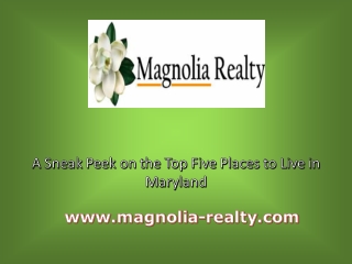 A Sneak Peek on the Top Five Places to Live in Maryland