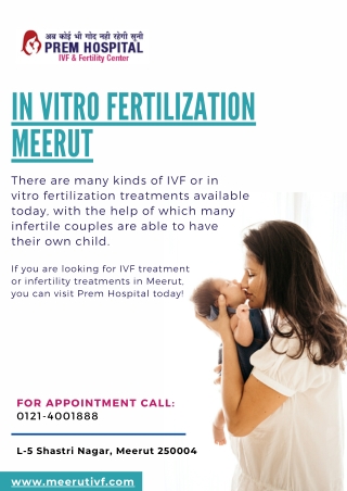 In Vitro Fertilization Meerut - Prem Hospital Meerut