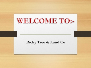 Best Tree Services in Wainfleet