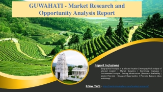 GUWAHATI - Market Research and Opportunity Analysis Report