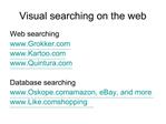Visual searching on the web