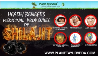 Impressive Health Benefits of Shilajit in Daily Life