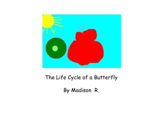 The Life Cycle of a Butterfly By Madison R.