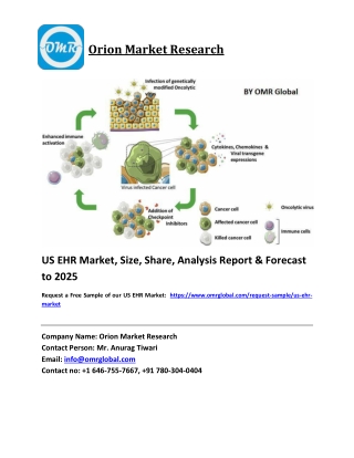 US EHR Market Size, Share and Forecast 2019-2025