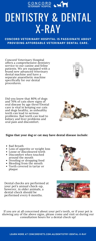 Dental Care Tips for Dogs