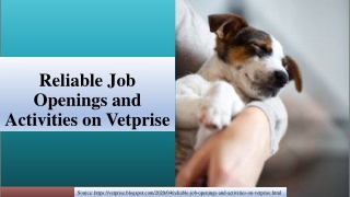 Reliable Job Openings and Activities on Vetprise