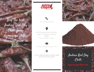 Buy The Best Indian Red Dry Chilli