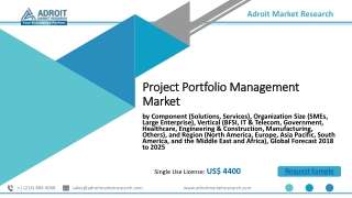 Project Portfolio Management Market Report by Trends, Application & Geography – Analysis & Forecast to 2025