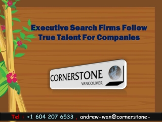 Executive Search Firms Follow True Talent For Companies