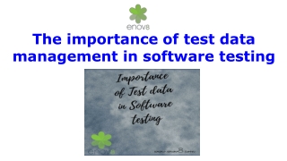 The Importance of Test Data Management in Software Testing