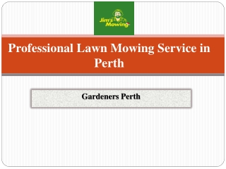 Professional Lawn Mowing Service in Perth | Gardeners Perth