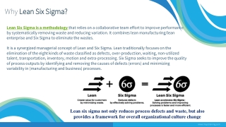 Introduction to Lean Six Sigma_2 Day Seminar