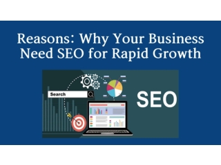 Reasons: Why Your Business Need SEO for Rapid Growth