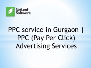 PPC service in Gurgaon | PPC (Pay Per Click) Advertising Services