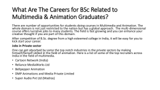 Career for BSc Related to Multimedia and Animation Graduates