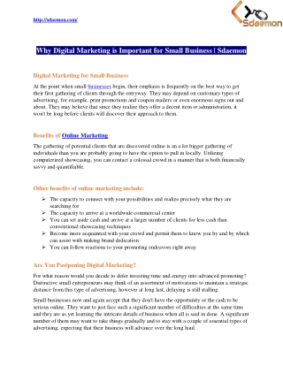 Why Digital Marketing is Important for Small Business | Sdaemon
