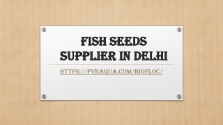 Fish Seeds supplier in Delhi