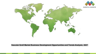 Vascular Graft Market Business Development Opportunities and Trends Analysis, 2027