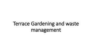 Terrace Gardening and waste management