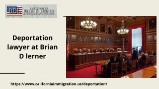 Popular deportation lawyer at Brian D Lerner