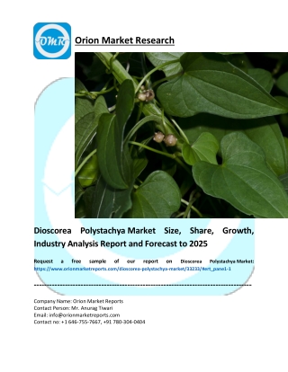 Dioscorea Polystachya Market pdf