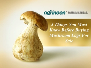 5 Things You Must Know Before Buying Mushroom Logs For Sale