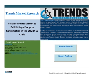 Cellulose Paints Market to Exhibit Rapid Surge in Consumption in the COVID-19 Crisis