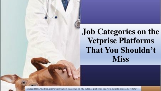 Job Categories on the Vetprise Platforms That You Shouldn’t Miss