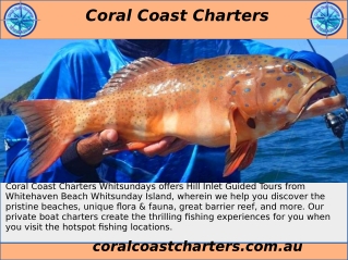 Fishing Charters Airlie Beach