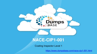 Coating Inspector Level 1 NACE-CIP1-001 Free Dumps Online V8.02 | DumpsBase