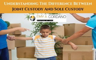 Understanding The Difference Between Joint Custody And Sole Custody