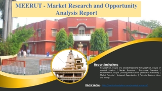MEERUT - Market Research and Opportunity Analysis Report