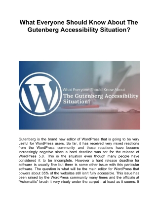 What Everyone Should Know About The Gutenberg Accessibility Situation?