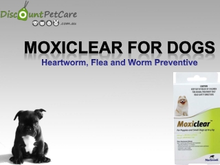 Buy Moxiclear Fleas and Heartworm Treatment for Dogs Online at lowest Price in Australia.