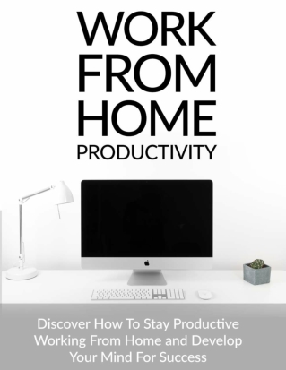 Work From Home Productivity