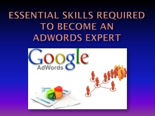 Essential Skills Required to Become an AdWordsExpert