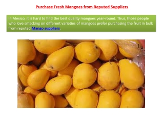 Purchase Fresh Mangoes from Reputed Suppliers