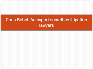 Chris Bebel- An expert securities litigation