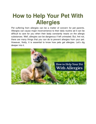 How to Help Your Pet With Allergies