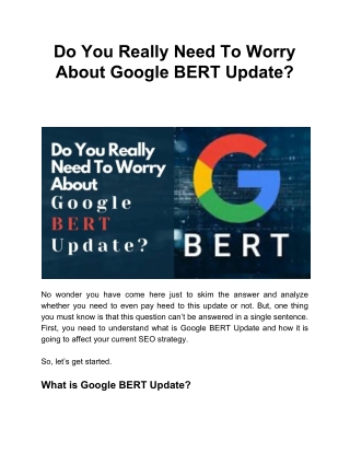 Do You Really Need To Worry About Google BERT Update?