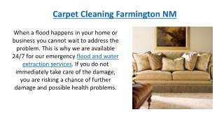 Carpet Cleaning Farmington NM