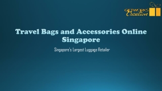 Travel Bags and Accessories Online Singapore